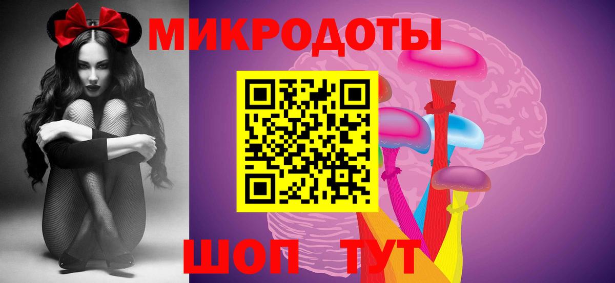 Галлюциногенные грибы Psilocybe Луга
